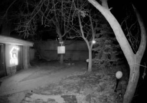 Night Vision Cameras